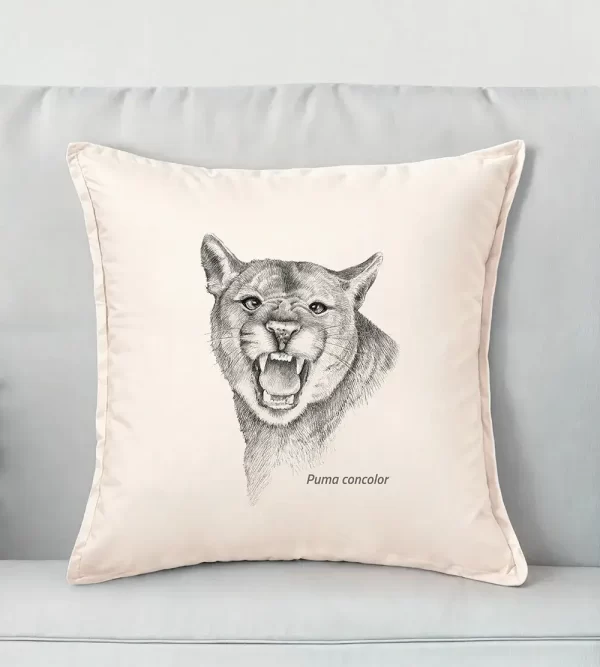 Puma Concolor